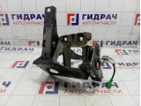 Блок педалей Lada Granta 21901160200630