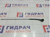 Антенна Lada Granta 11170790301013