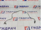 Датчик ABS передний Lada Granta 11183538350