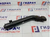 Патрубок воздушного фильтра Lada Granta 21900110930100