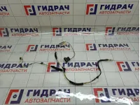 Проводка двери передней правой Lada Granta 8450102808