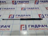 Амортизатор крышки багажника Lada Kalina 2 11198231015