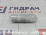 Плафон салонный Lada Largus 8200074362