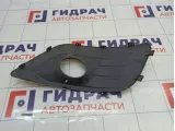 Рамка противотуманной фары правой Lada Largus 8450000252