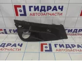 Рамка противотуманной фары левой Lada Vesta 8450008882