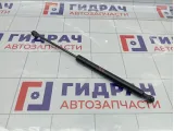 Амортизатор крышки (двери) багажника Lada XRAY Cross 904524809R