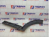 Накладка двери задней правой Land Rover Discovery 3 (L319) DGP000144PCL