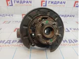 Кулак поворотный задний правый Land Rover Freelander II (L359) LR006962