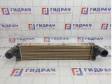 Интеркулер Land Rover Freelander II (L359) LR020401