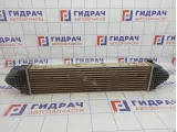 Интеркулер Land Rover Freelander II (L359) LR020401