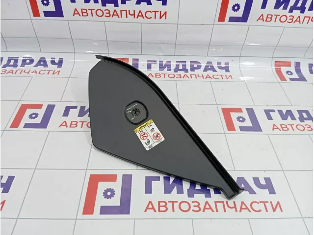 Накладка торпедо правая с торца Land Rover Range Rover (L322) FAG500760PVA