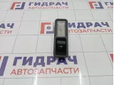 Плафон салонный Land Rover Range Rover (L322) 61346904008