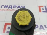 Бачок гидроусилителя Land Rover Range Rover (L322) QFX500060