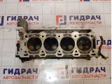 Головка блока цилиндров правая Land Rover Range Rover (L322) LR005095