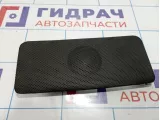 Решетка динамика Land Rover Range Rover (L322) FBI500070PVA