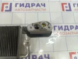 Испаритель кондиционер Land Rover Range Rover (L322) JQB000160