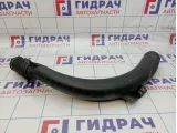 Патрубок воздушного фильтра Land Rover Range Rover (L322) LR010553