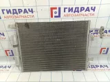 Радиатор кондиционера Land Rover Range Rover (L322) JRB500190