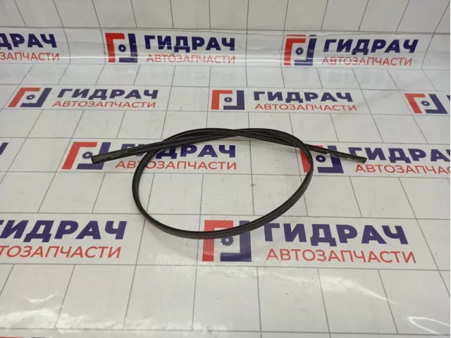 Молдинг крыши правый Lexus GS350 (L10) 75555-30120-B0