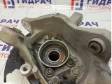 Кулак поворотный задний правый Lexus GS450h (L10) 42304-30130