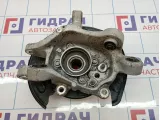 Кулак поворотный задний правый Lexus IS250 (XE30) 42304-53020