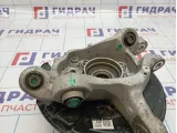 Кулак поворотный задний правый Lexus IS250 (XE30) 42304-53020