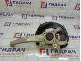 Кулак поворотный передний левый в сборе Lexus IS250 (XE30) 43202-53010