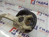 Кулак поворотный передний левый в сборе Lexus IS250 (XE30) 43202-53010