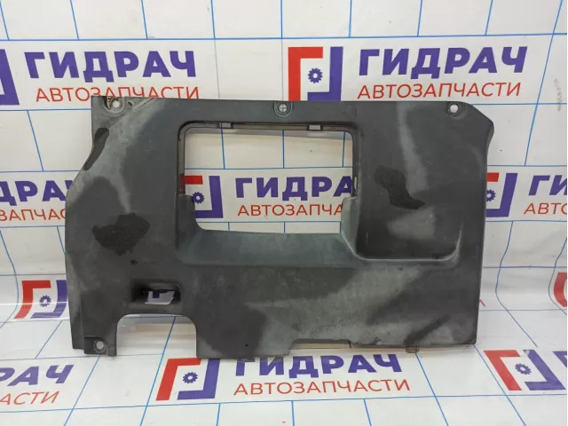 Накладка декоративная подкапотная Lexus RX270 (AL10) 53796-48071