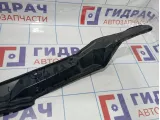 Накладка крыла переднего левого Lexus RX270 (AL10) 53883-48040