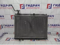 Радиатор системы охлаждения Lifan Myway PBC1301100