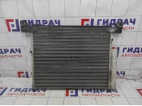 Радиатор кондиционера Lifan Myway P8105100