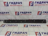 Молдинг двери передней правой наружняя Lifan Myway PBA5006521