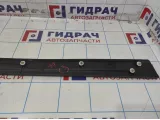 Молдинг двери передней правой наружняя Lifan Myway PBA5006521