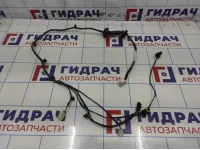 Проводка двери задней левой Lifan Myway PBA4007300