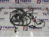 Проводка моторная Lifan Myway LFB479QH814001100B