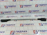 Рейлинг правый Lifan X60 S5709210