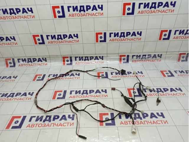 Проводка двери багажника Lifan X60 S4006600