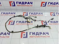 Проводка двери задней левой Lifan X60 S4006300