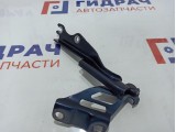 Петля капота левая Mazda Mazda 6 (GJ) GHP9-52-420B.