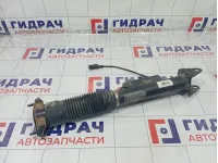Амортизатор задний Mercedes-Benz GL-класс A1663200930