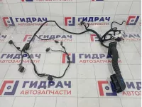 Проводка двери передней левой Mercedes-Benz GL (X166) 1664405608