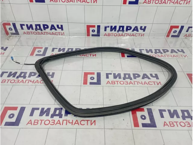 Уплотнитель стекла кузовного левого Mercedes-Benz GL (X166) 1666700139