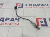 Датчик кислородный Mercedes-Benz GL (X166) 0065422018