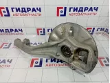 Кулак поворотный передний левый Mercedes-Benz GL (X166) 1663300920