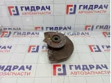 Кулак поворотный передний левый Mitsubishi Airtrek MR491325