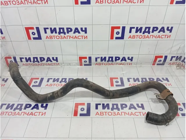 Патрубок радиатора нижний Mitsubishi Lancer 1370A163