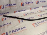 Молдинг крыши левый Mitsubishi Lancer 9 (CS) MR520287