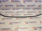 Молдинг крыши левый Mitsubishi Lancer 9 (CS) MR520287