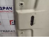 Обшивка потолка Nissan Almera (G15) 739B0-4AA0A